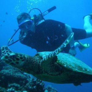 Meet your Posher, Christopher